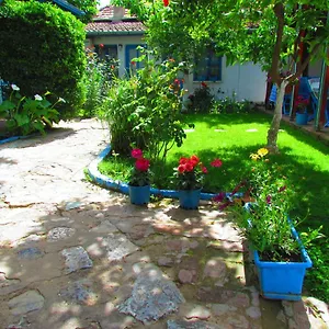 3* Guest house Amazon Antique